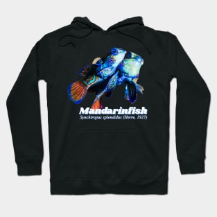 Mandarinfish lovers Hoodie